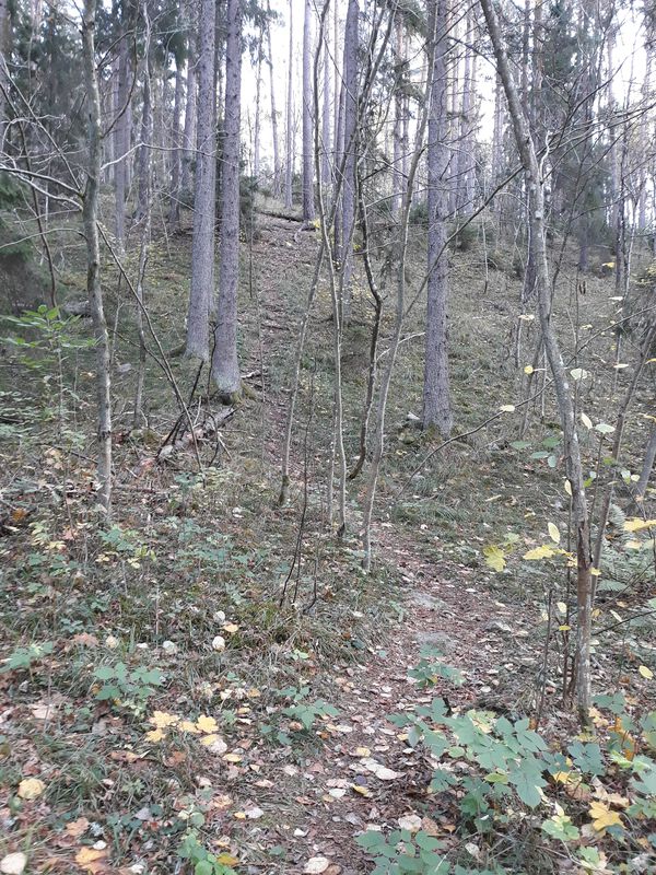 Sunnerstaåsen - Ultunaåsen