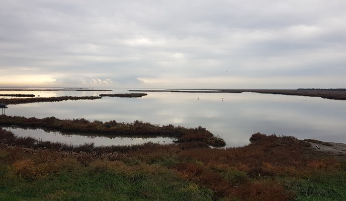 Photo 1 of the Bikemap route "Ponzano Cavallino via restera" Photo 1 of the Bikemap route "Ponzano Cavallino via restera"