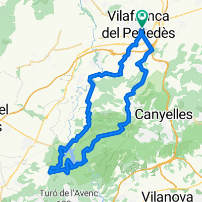 Pantà del Foix