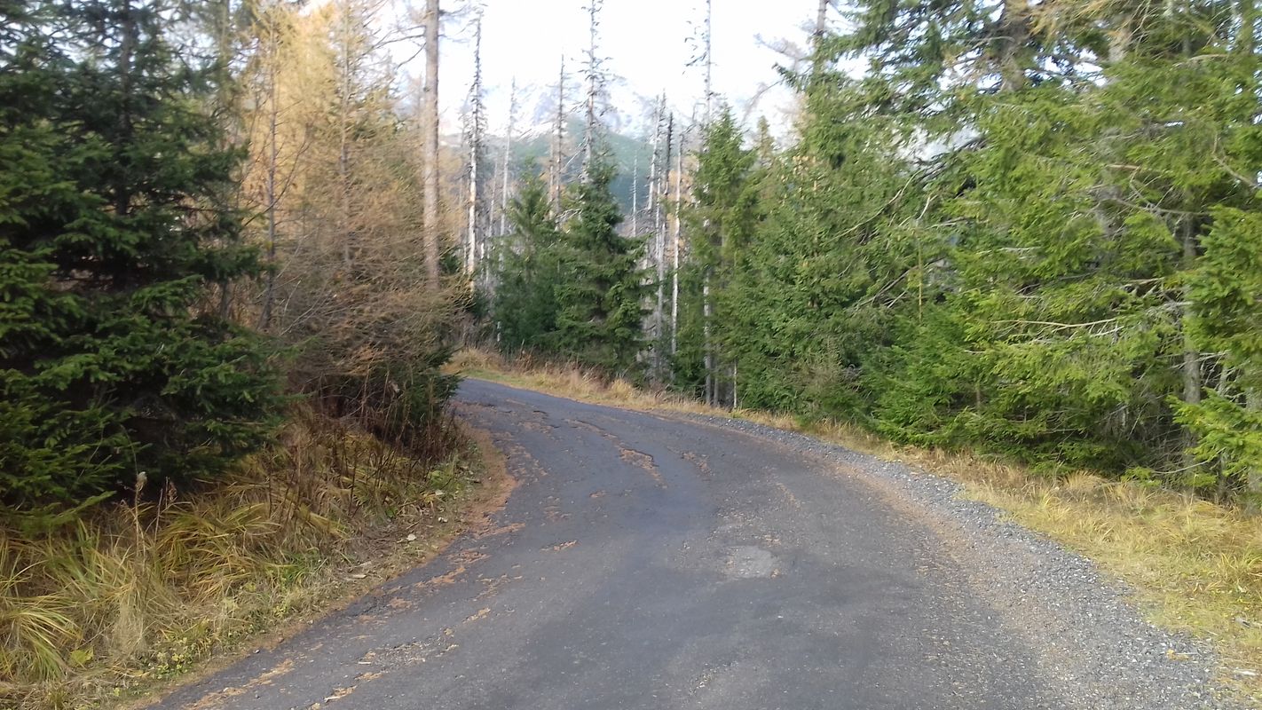 Sliezky dom z Tatr. polianky