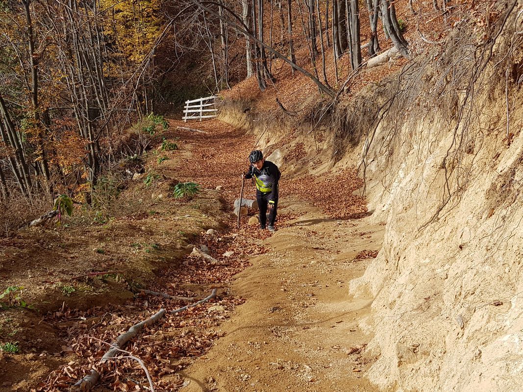 Pocruia schit Tismana Cioclovoina v3