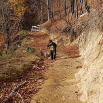 Pocruia schit Tismana Cioclovoina v3