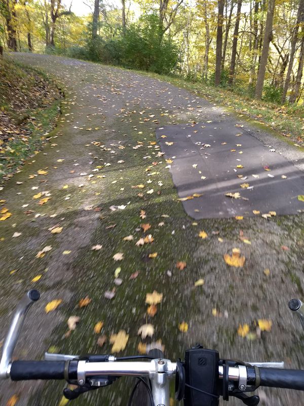 Edwin and Percy Warner Parks