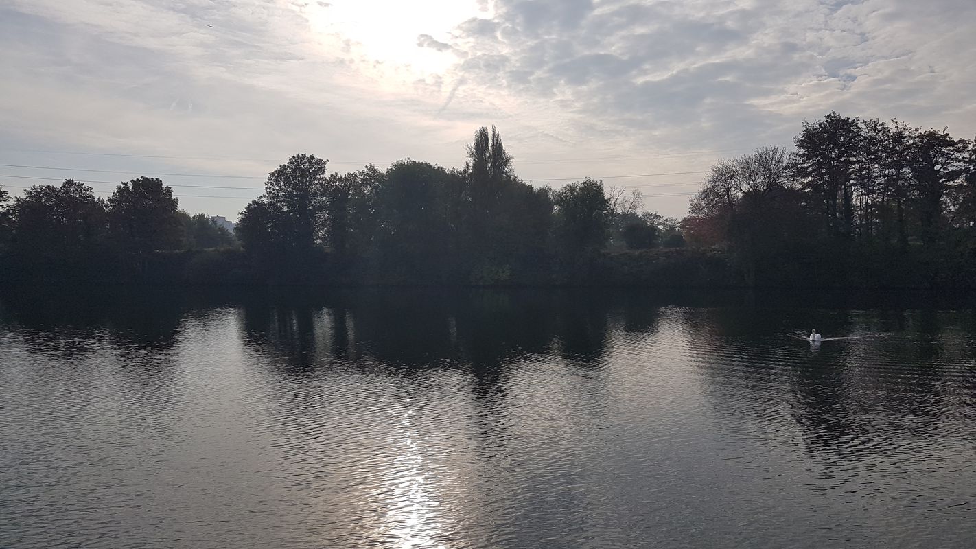 À bord de la Seine, Houilles-Chatou