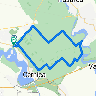 cernica 2018