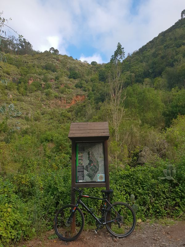 Der letzte Urwald auf Gran Canaria