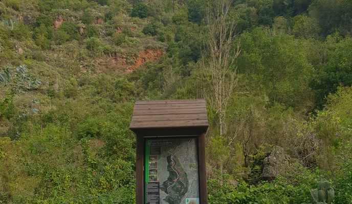 Foto 1 de la ruta de Bikemap "Der letzte Urwald auf Gran Canaria"