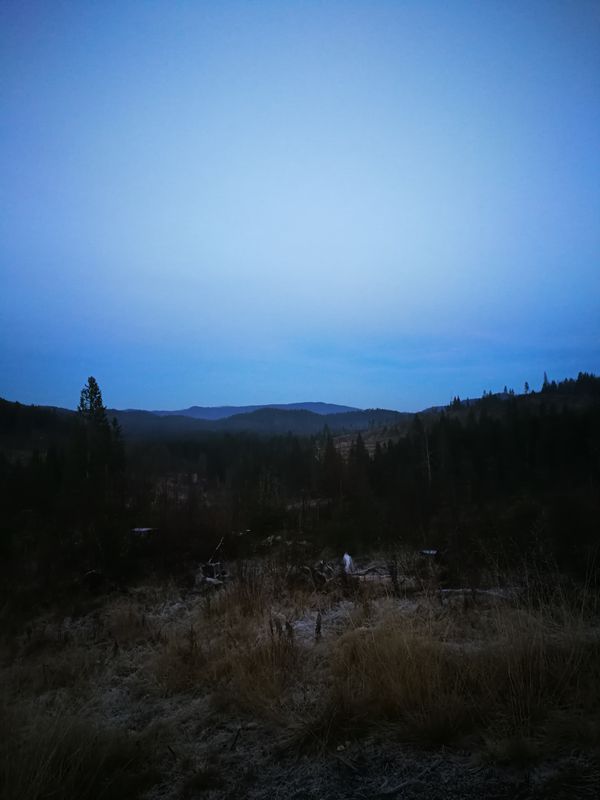 Lille Gåslandeturen.