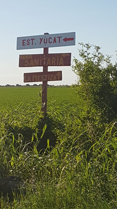 cruce rural. yucat. VM.tp