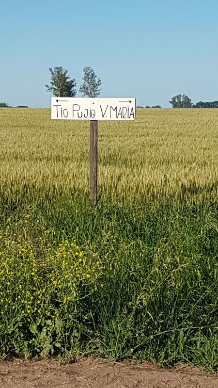 cruce rural. yucat. VM.tp