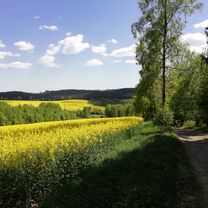Walking Strecke Alm