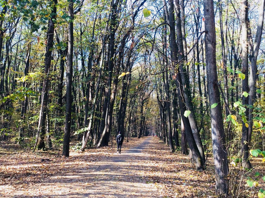 traseu baneasa  2018 nov