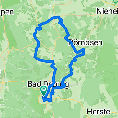 Lockere Ausfahrt ca. 1,5 h