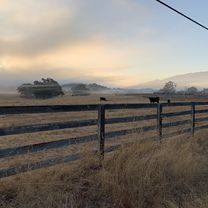 Moderate Sunday Course In Gilroy