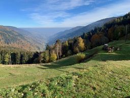 Route des Crêtes