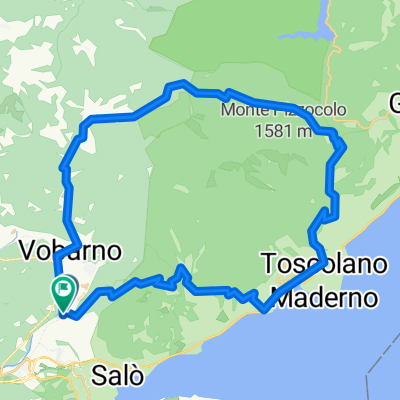 Roe-Spino-Cartiera
