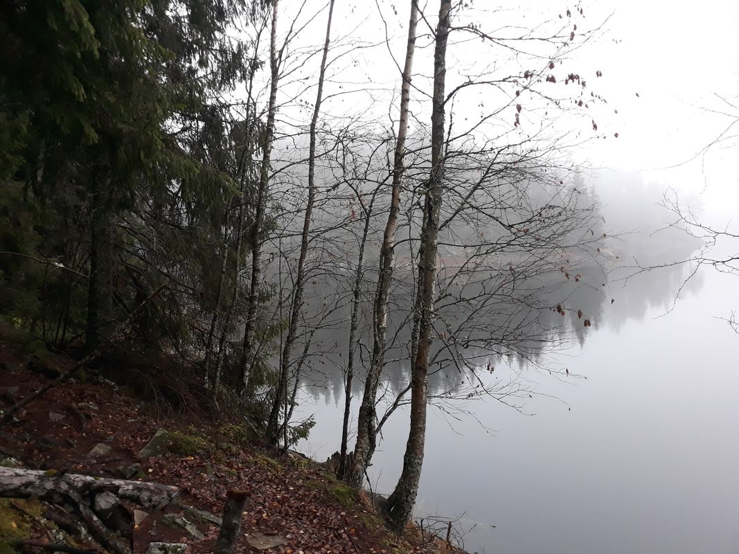 route to lake