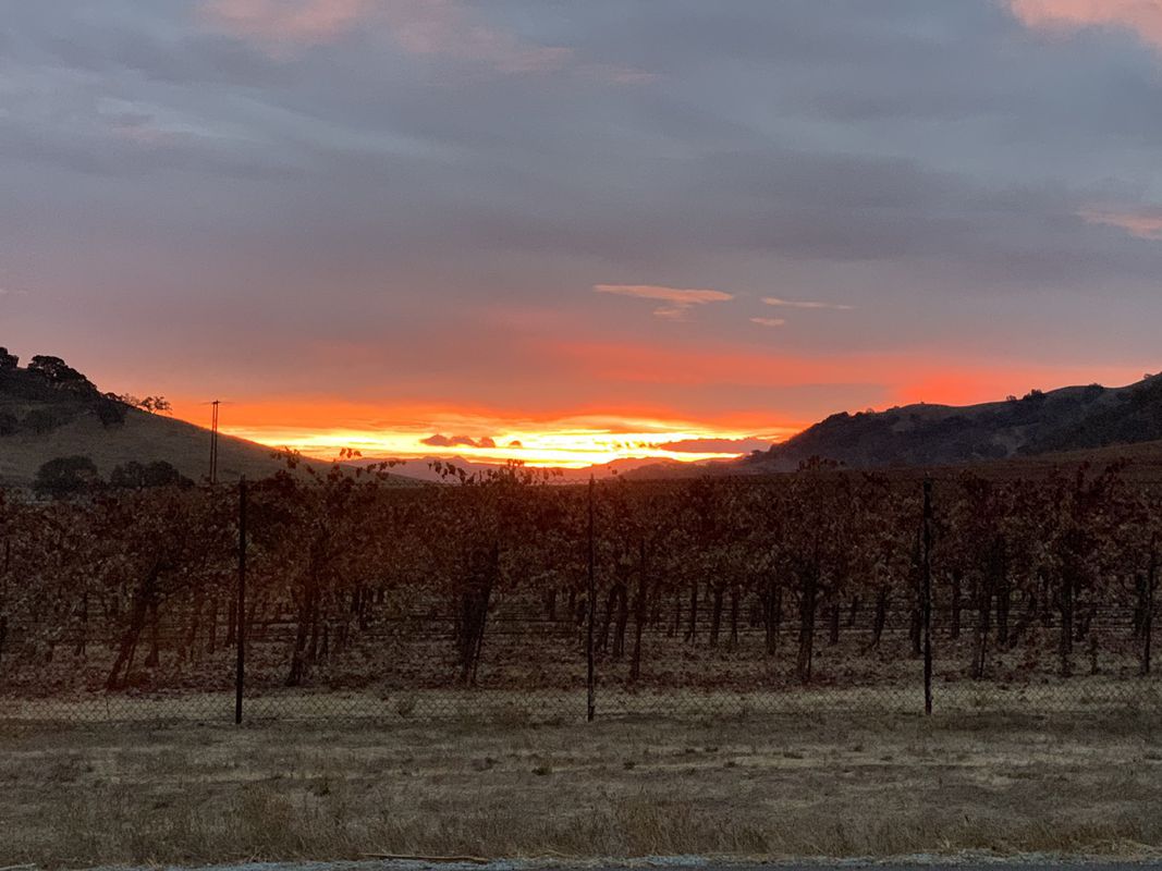 Relaxed Wednesday Ride In Gilroy