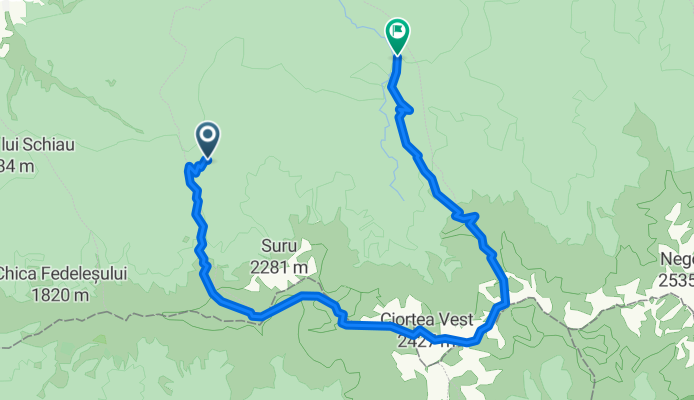 Izv. Florii-Suru-L.Avrig- Saua Scarita-Platoul Scara-Cab. Barcaciu-Poiana Neamtului