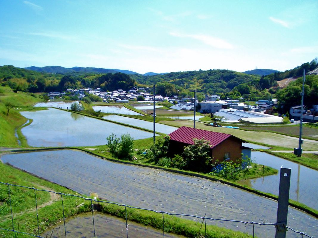 Minoh, Kameoka