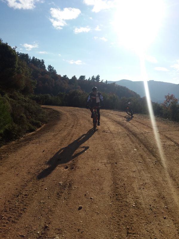 WishWheelWin κατεβασιες