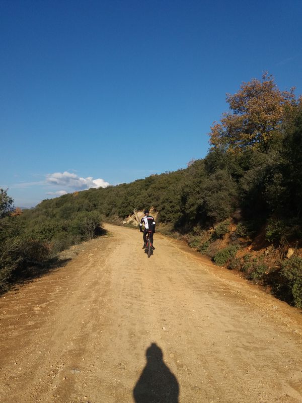 WishWheelWin κατεβασιες