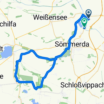 Alperstädter Ried