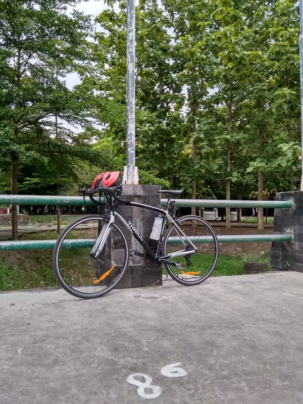 Rutinne Riding