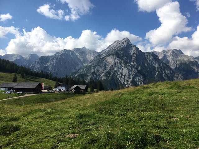 Walderalm / Hinterhornalm