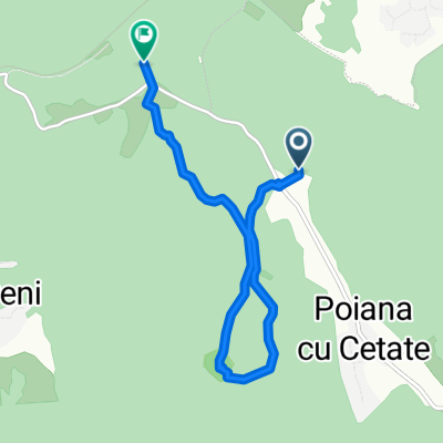 1_poiana_cetate_coborare_gara_stop