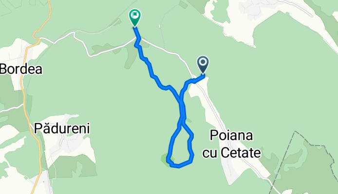 1_poiana_cetate_coborare_gara_stop