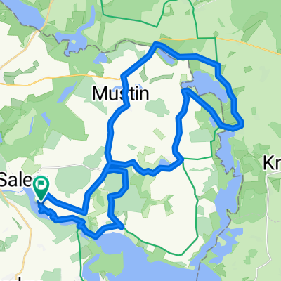 Salem-kitlitz