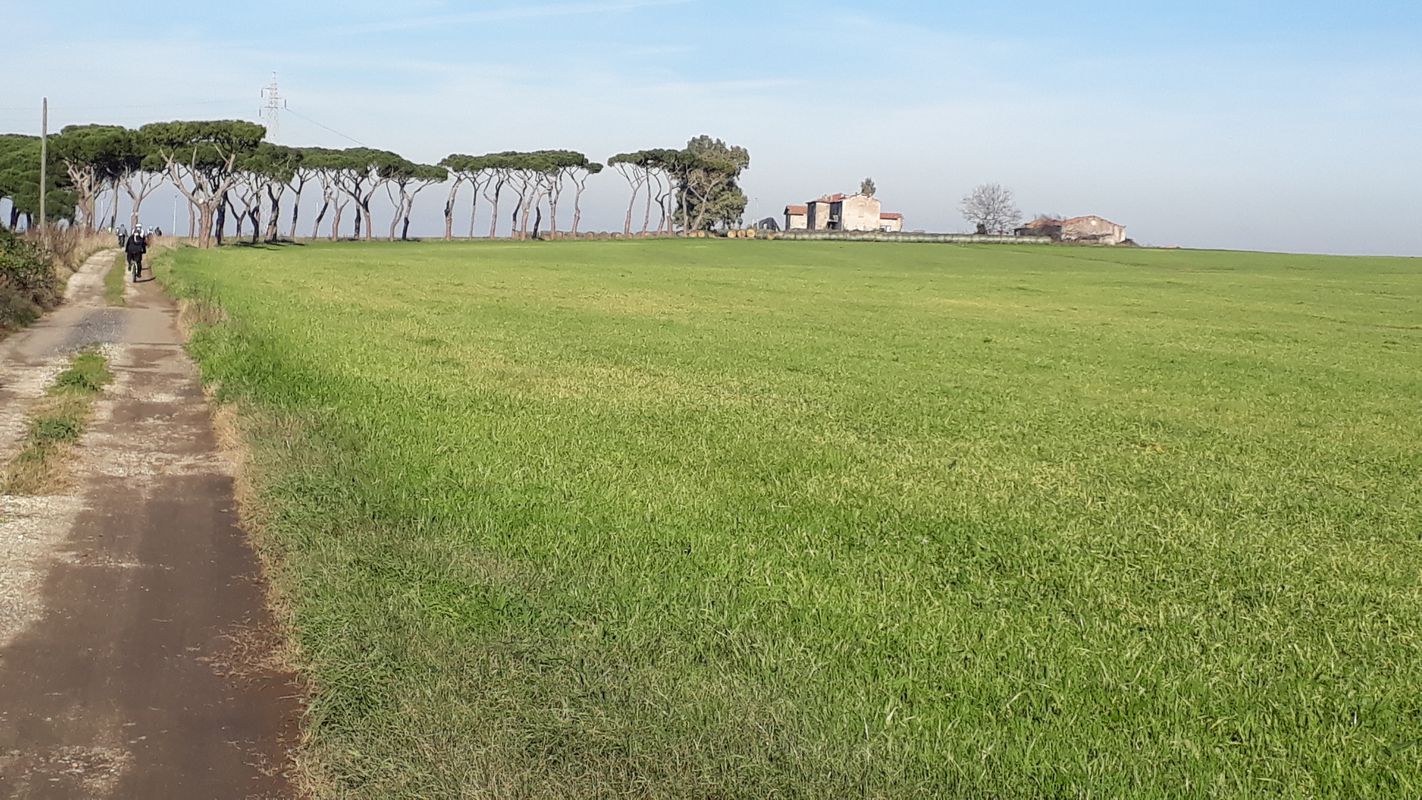 Da Ostia a Roma