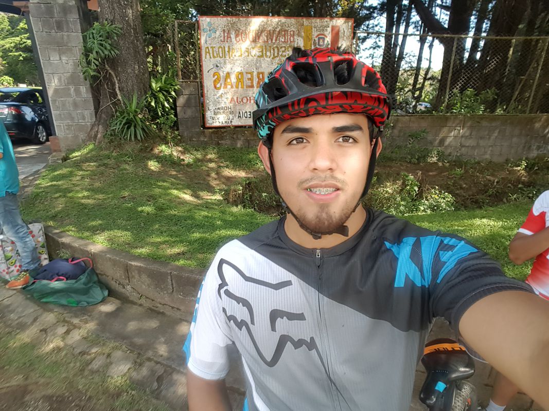 bosque de la hoja