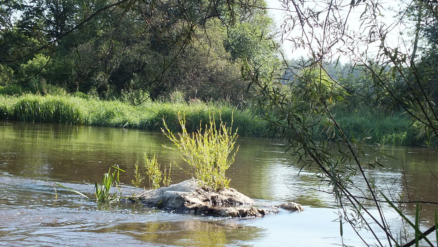 Spływ Warta 5-6.06.2014