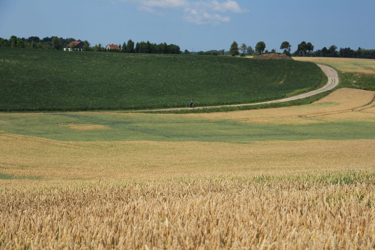 Romankowo - Frombork | Wyprawa nad Morze - dzień 10 | Green Velo