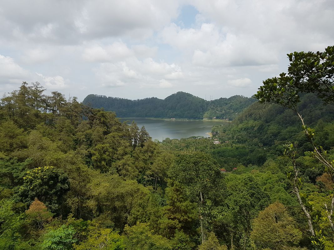 survey ngebel