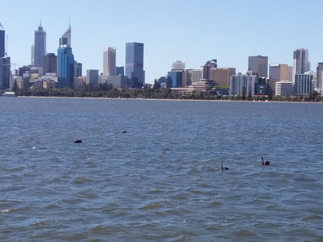 From Burswood around swan river