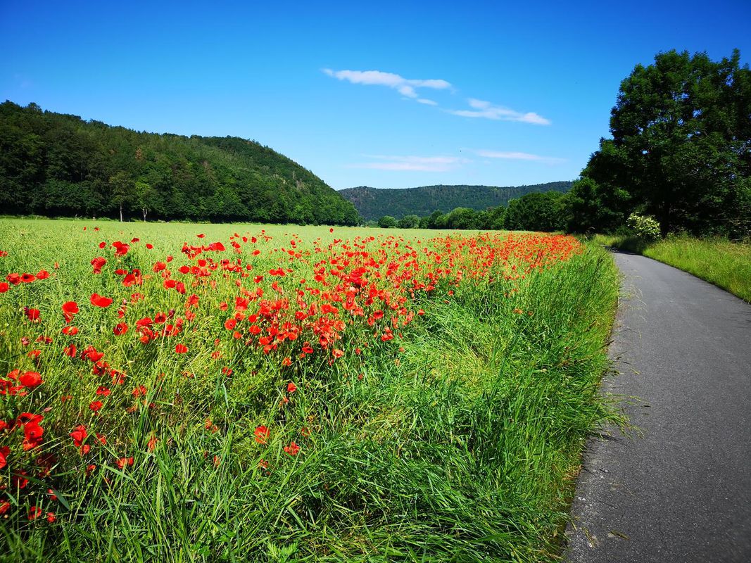 Freiburg - Flensburg (Großenwiehe) gesamte Strecke