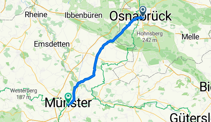 Os-Ms 2019