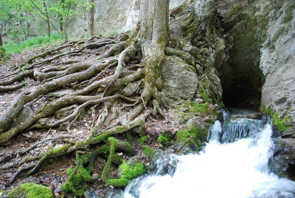 Imó-kő forrás_Vöröskő-forrás_Hárs-kút_Lénárt-forrás