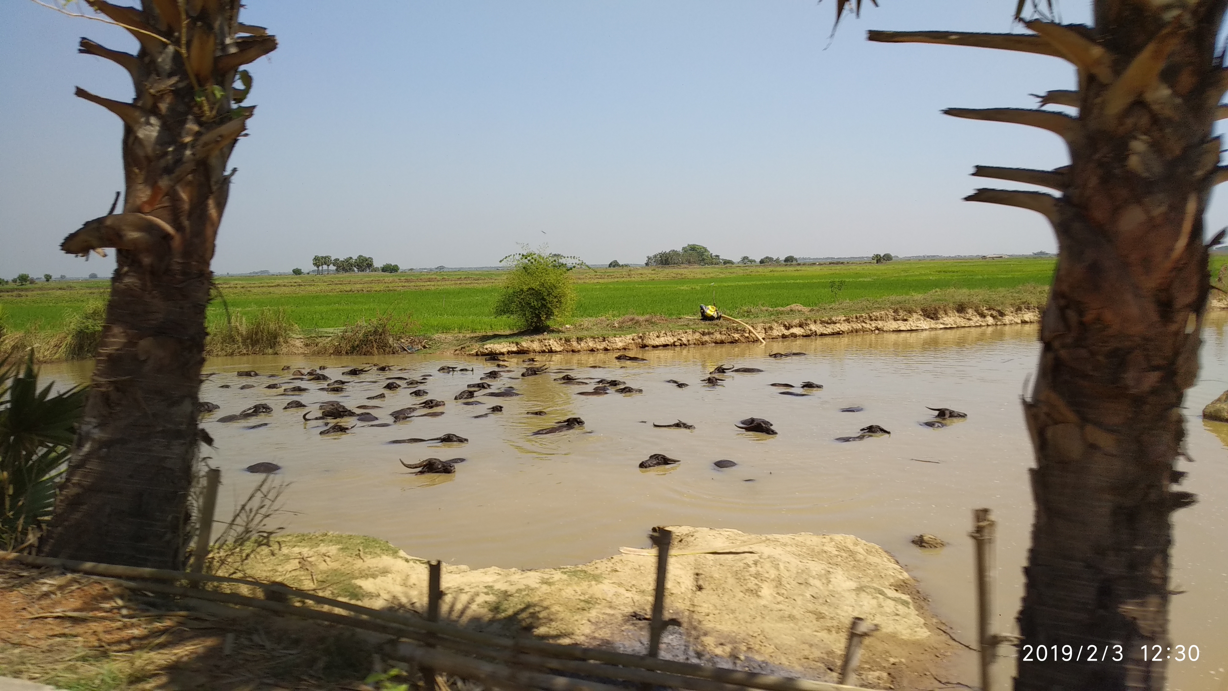 က်ိဳက္ပဒိုုင္ - ရန္ကုန္ (by Car)