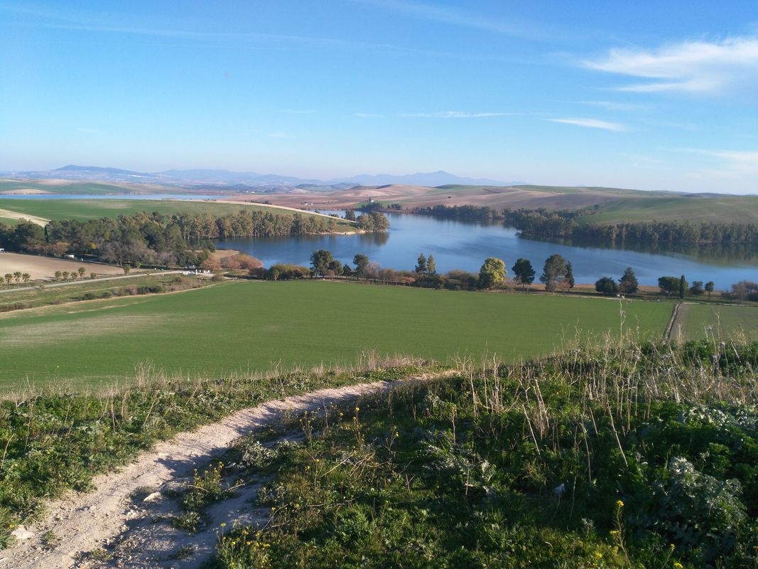al pantano