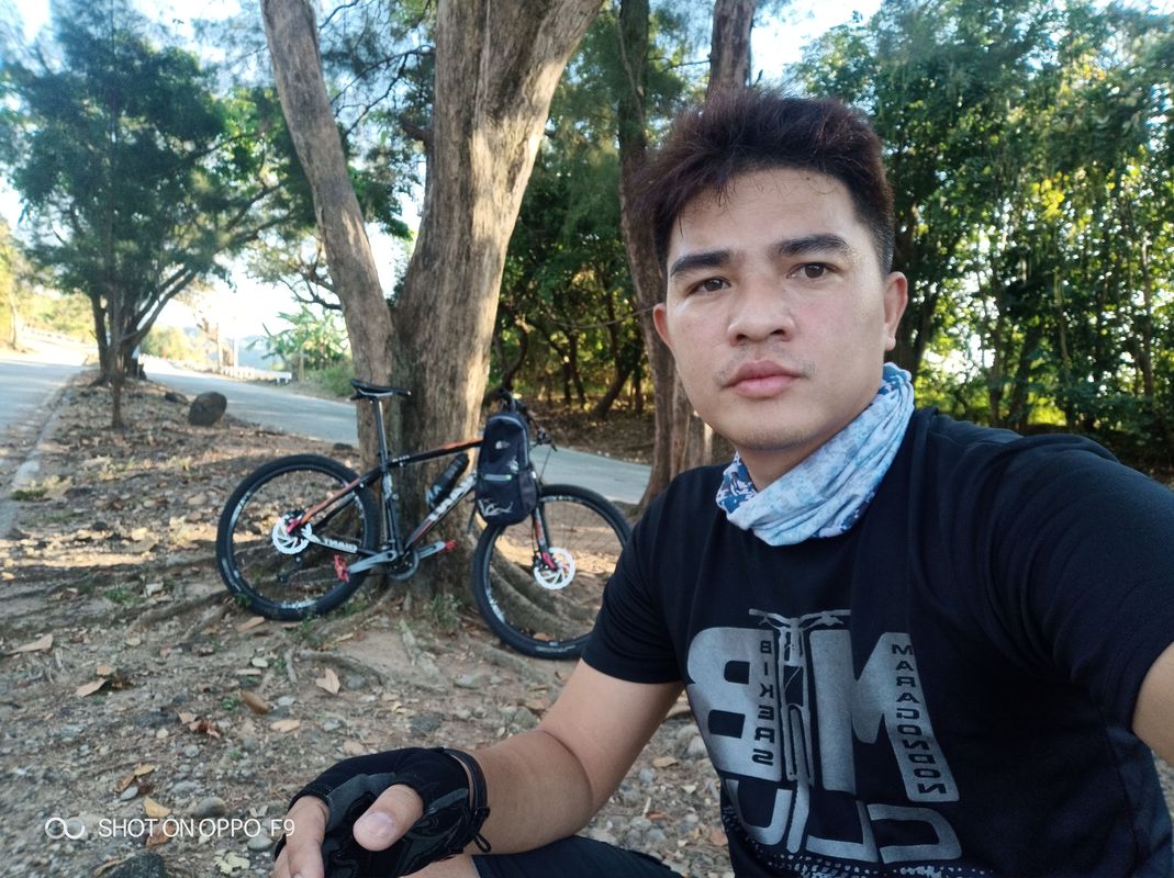 papawis