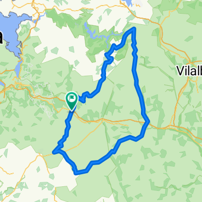 salgueirada