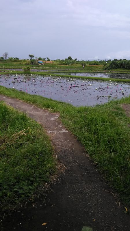 anggabaya - furama villa