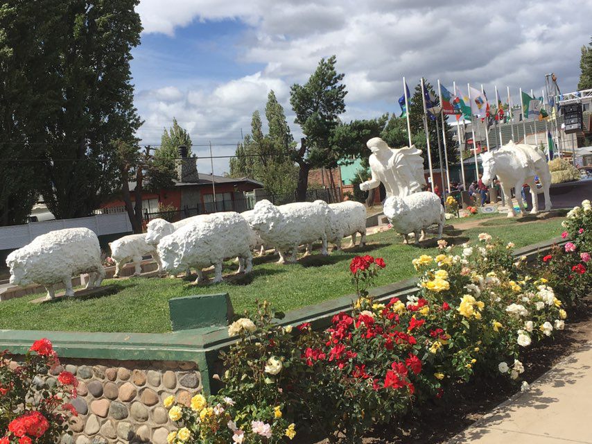 Ruta centro - mirador Simpson/Coihaique