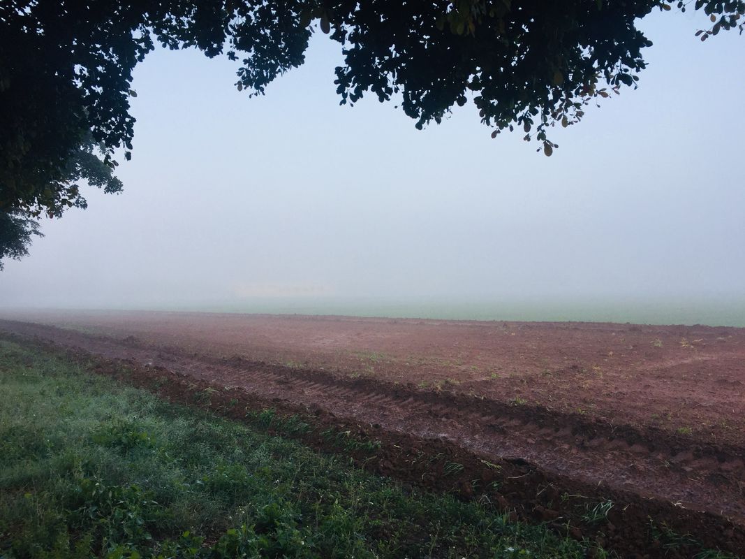 Ruta del Trabajo a casa