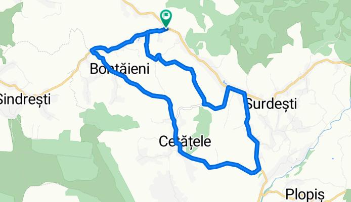 Ramona run