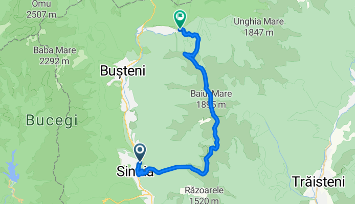 Ziua 1 Baiului-Azuga